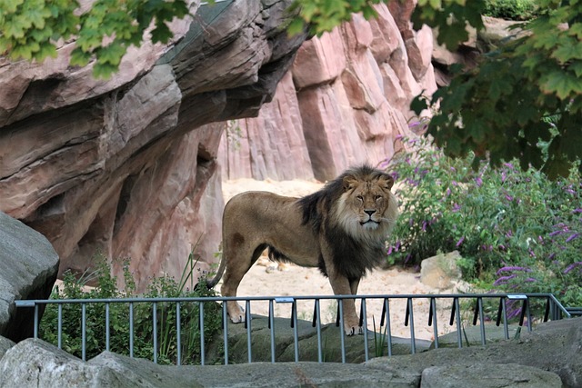 Antwerp Zoo in Antwerp, Belgium