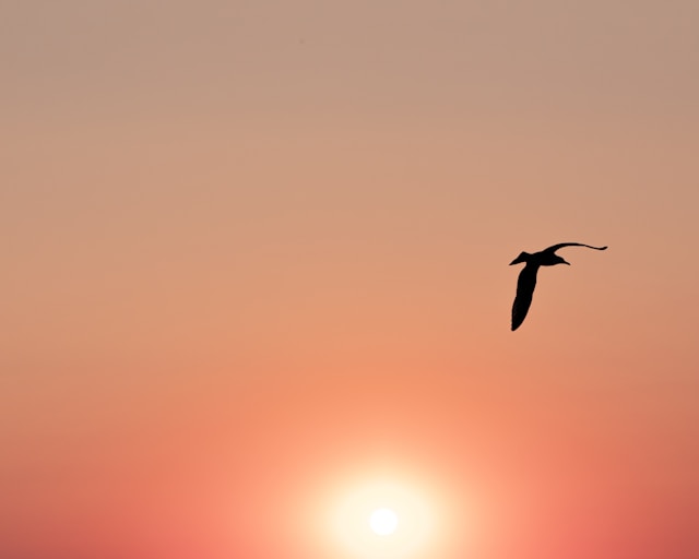 Poda Nature Reserve in Burgas, Bulgaria