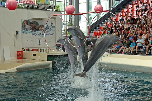 Dolphinarium in Varna, Bulgaria