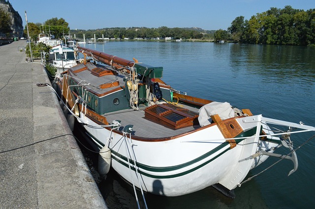 Île de la Barthelasse in Avignon, France