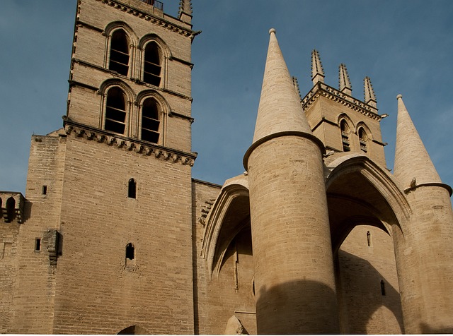 Cathedrale Saint-Pierre in Montpellier, France