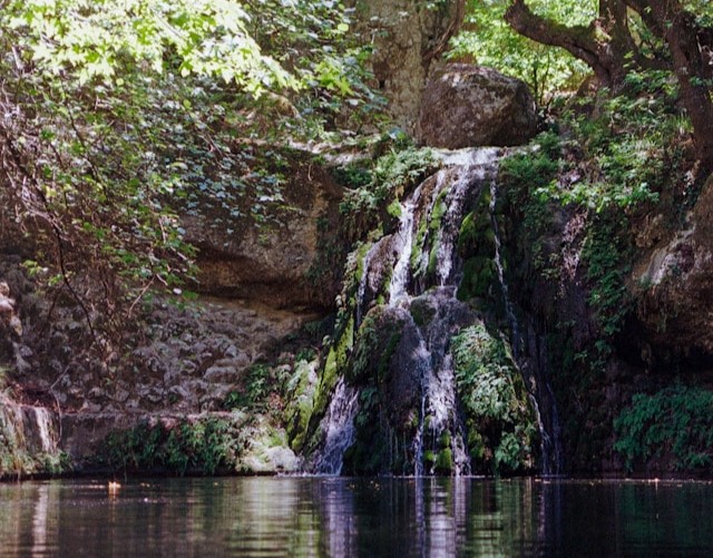 Valley of the Butterflies (Petaloudes) in Rhodes, Greece