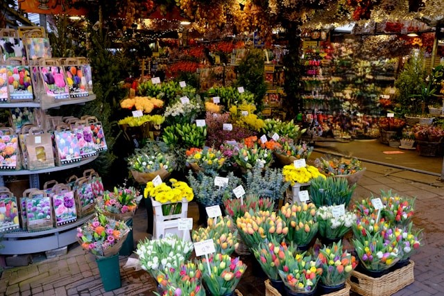 Bloemenmarkt in Amsterdam, Netherlands