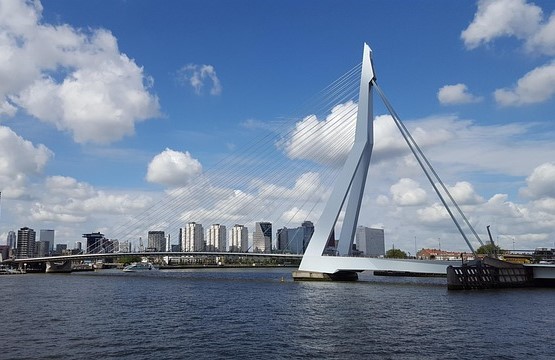 Erasmus Bridge in Rotterdam, Netherlands