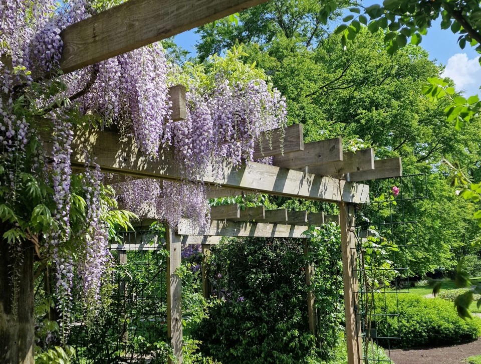 Botanical Gardens in Utrecht, Netherlands