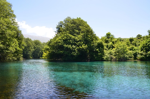 Springs of Saint Naum in Ohrid, North Macedonia