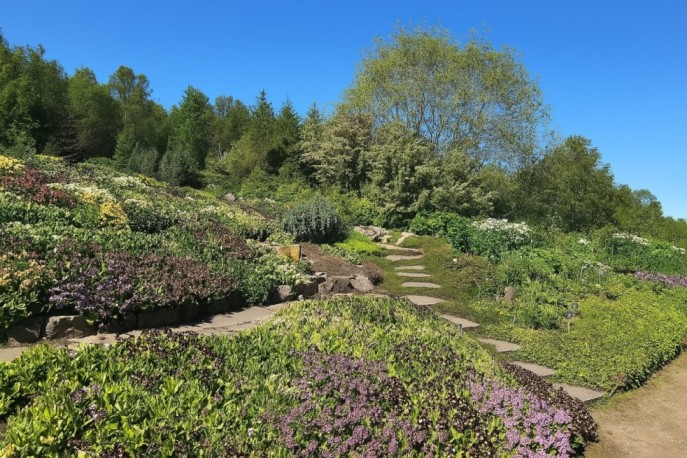 Arctic-Alpine Botanic Garden in Tromso, Norway