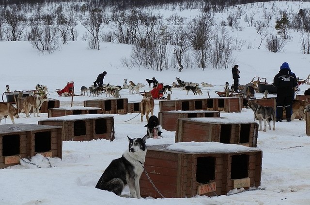 Tromso Wilderness Centre in Tromso, Norway