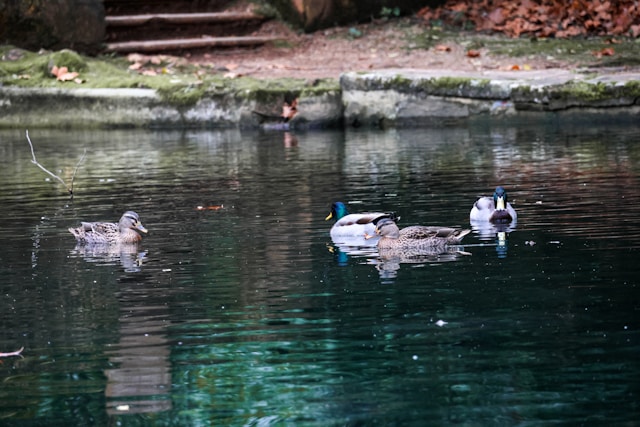 Quinta das Lagrimas in Coimbra, Portugal
