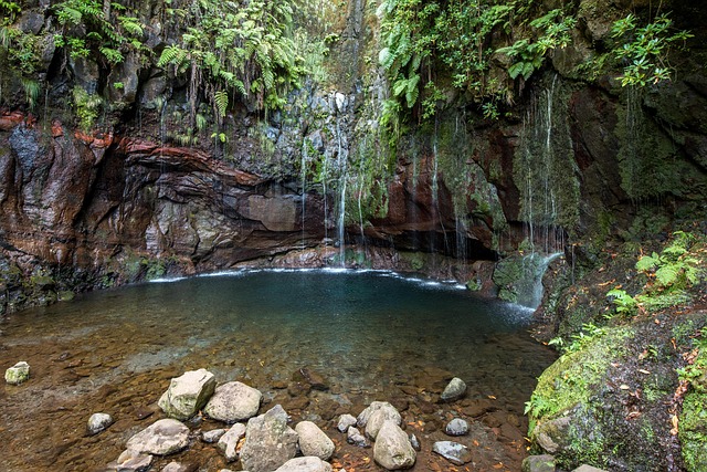 Levada 25 Fontes and Risco in Madeira, Portugal