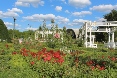Roses Park (Parcul Rozelor) in Timisoara, Romania