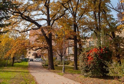 Danube Park in Novi Sad, Serbia
