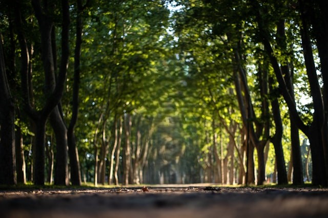 La Devesa Park in Girona, Spain
