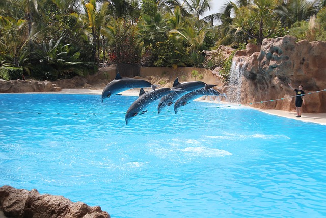 Loro Parque in Tenerife, Spain