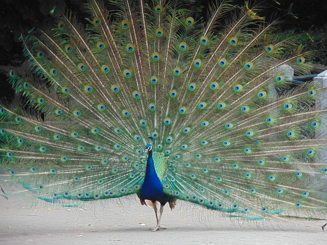 Campo Grande Park in Valladolid, Spain