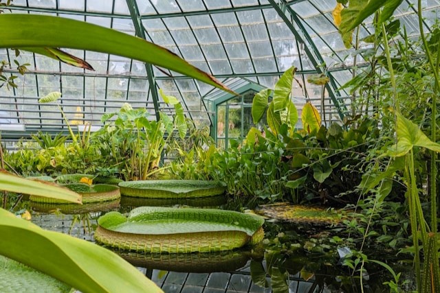 University of Basel Botanical Garden in Basel, Switzerland