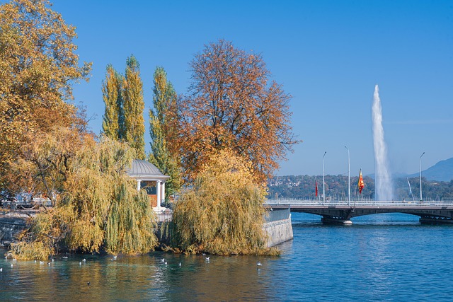Ile Rousseau and Rhone Quays in Geneva, Switzerland