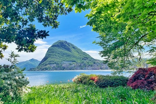 Olive Grove Trail Sentiero dell Olivo in Lugano, Switzerland