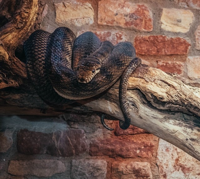 Bristol Zoo Gardens in Bristol, United Kingdom