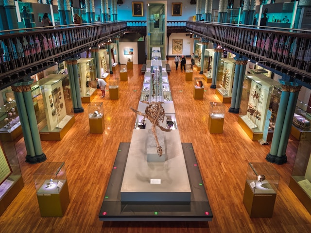 The Hunterian Museum in Glasgow, United Kingdom