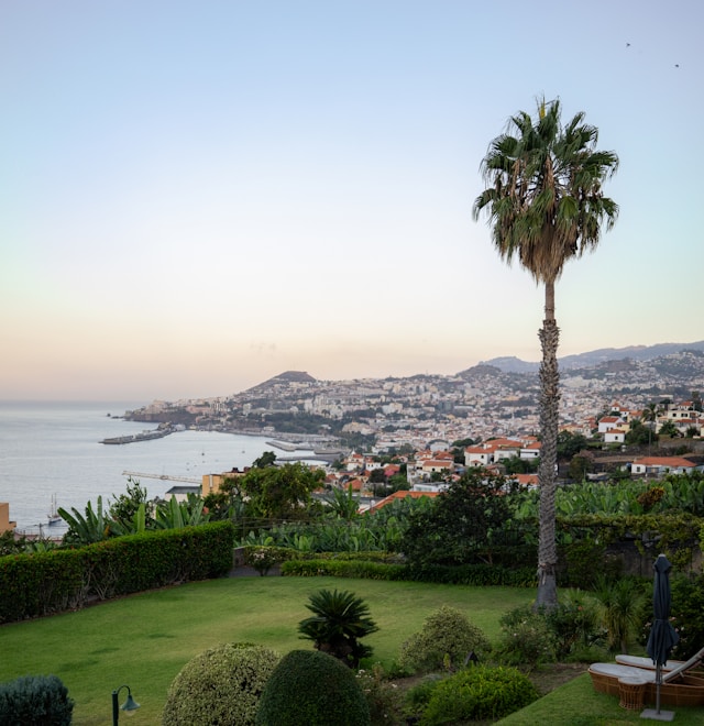 Funchal – top attractions and things to do